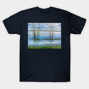 Late April between Montreal and Quebec - Part 2 T-Shirt